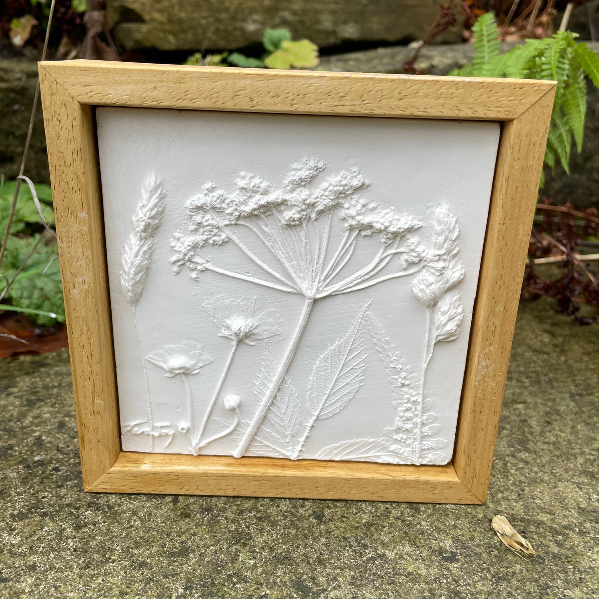 "Cowparsley Fields" Framed