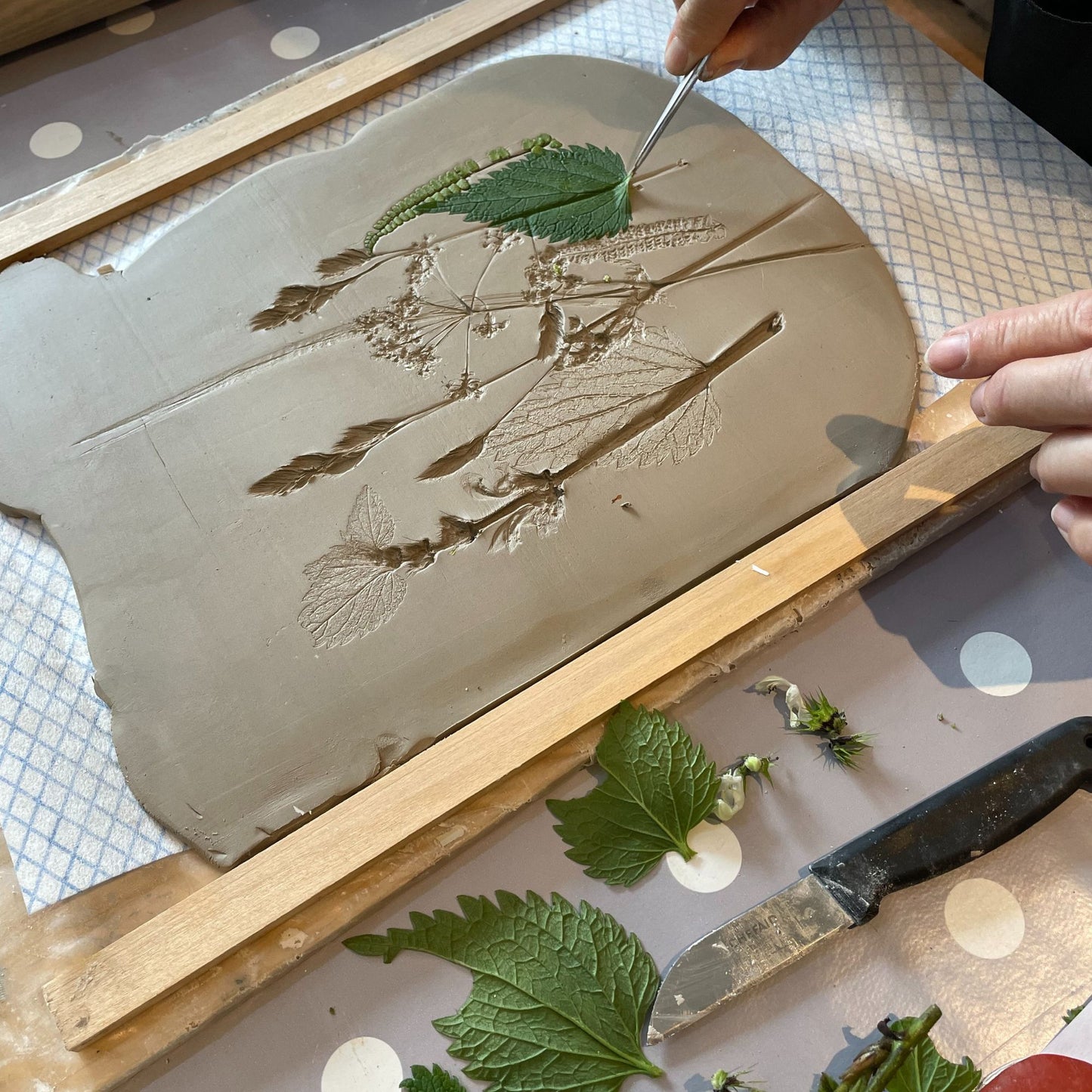 Botanical Bas Relief Plaques - Holden Clough Nurseries -  Friday 3rd April 2026 10.30-3.30pm