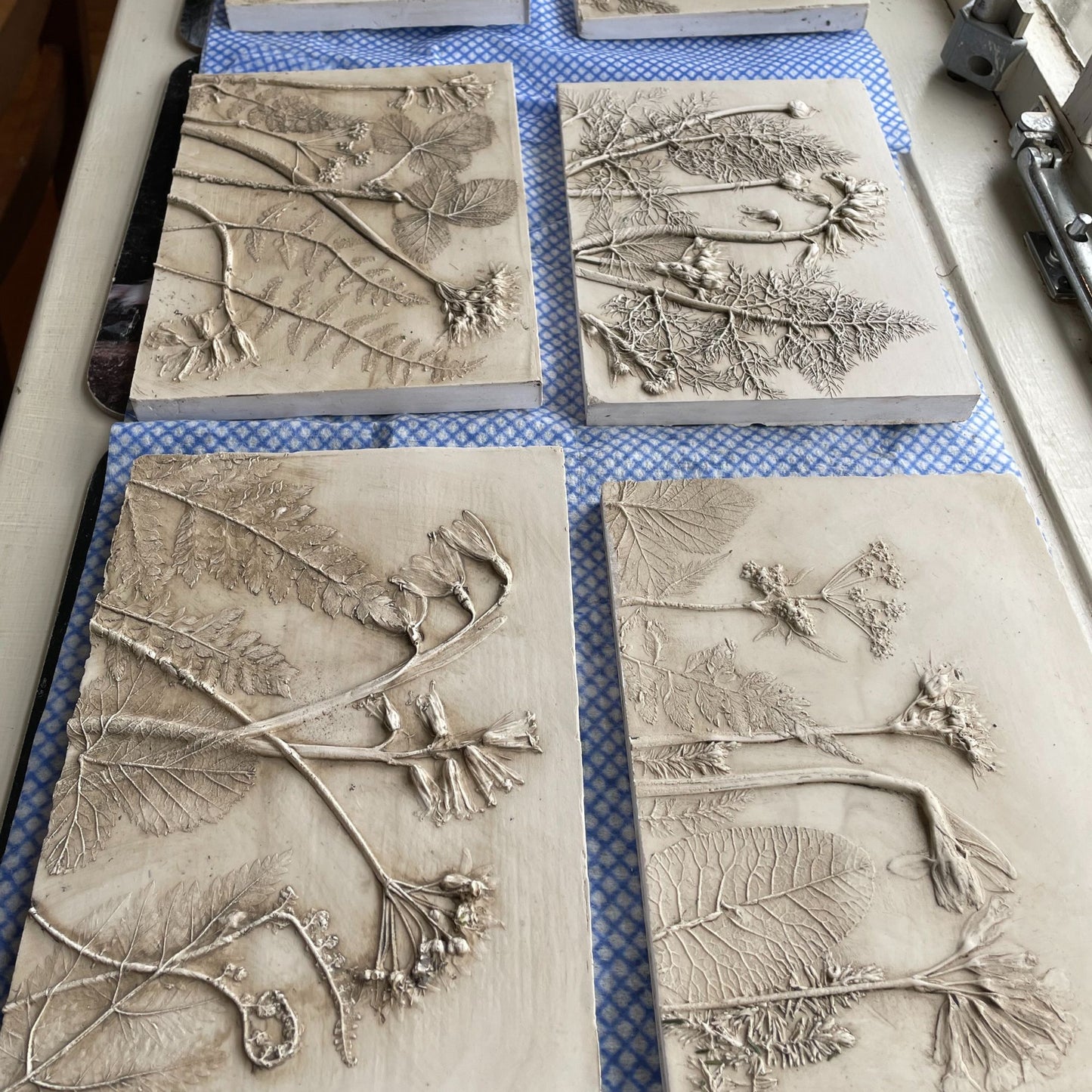 Botanical Bas Relief Plaques - Holden Clough Nurseries -  Friday 3rd April 2026 10.30-3.30pm