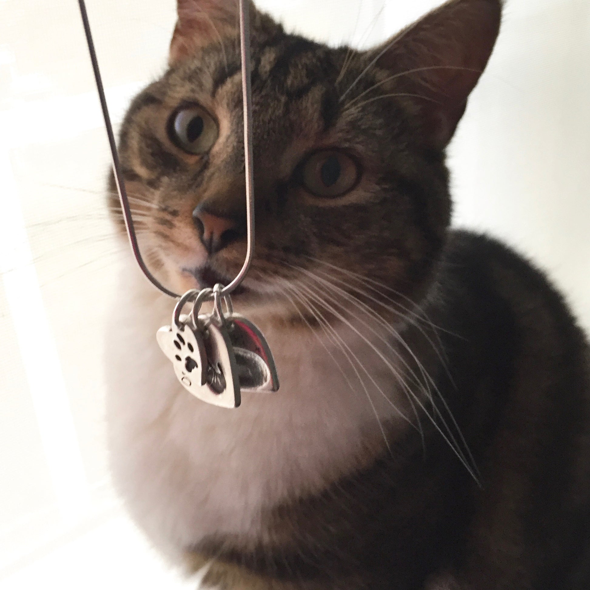 Mini Pet Paw Print Charm - Joy Impressions