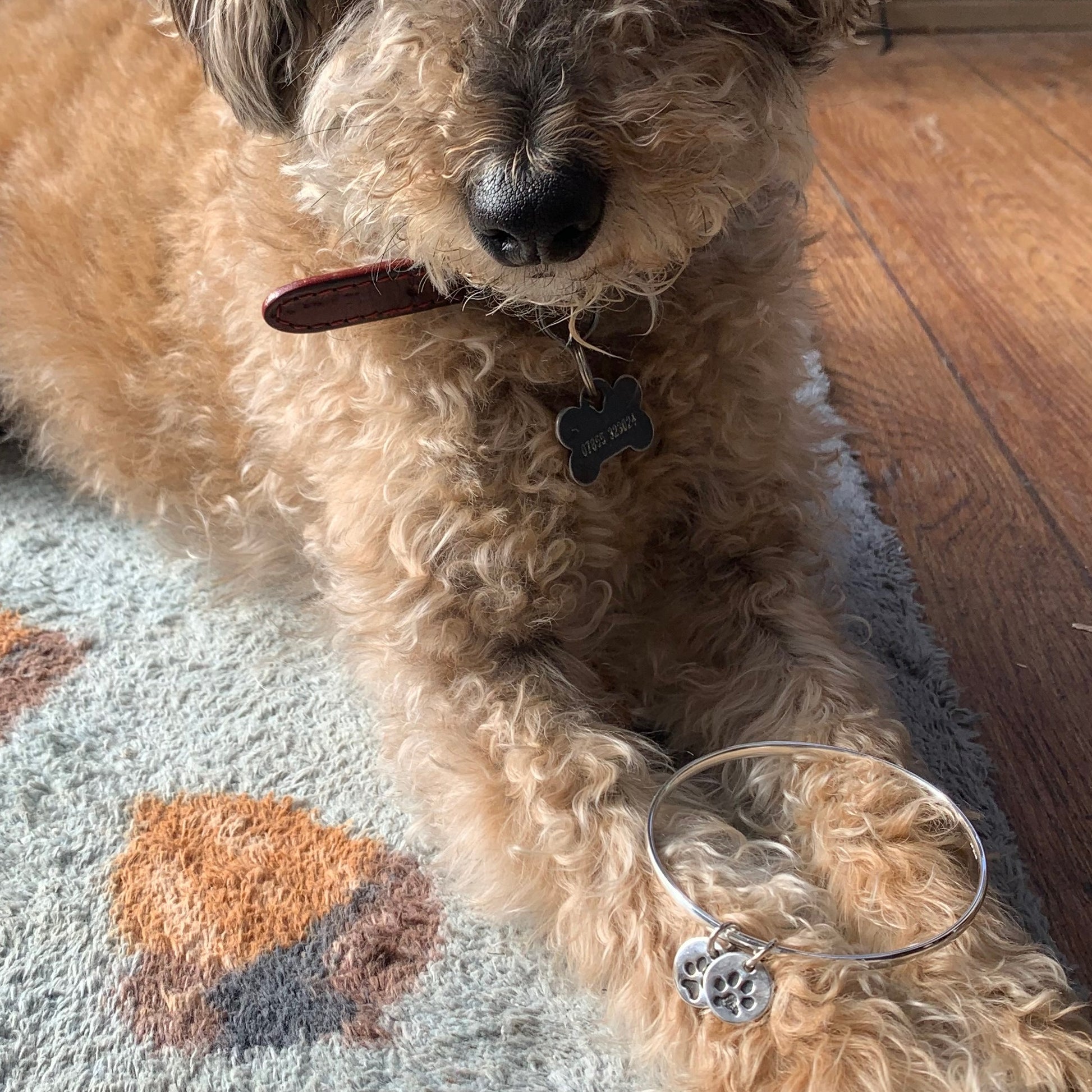 Dog modelling mini circle pawprint bangle