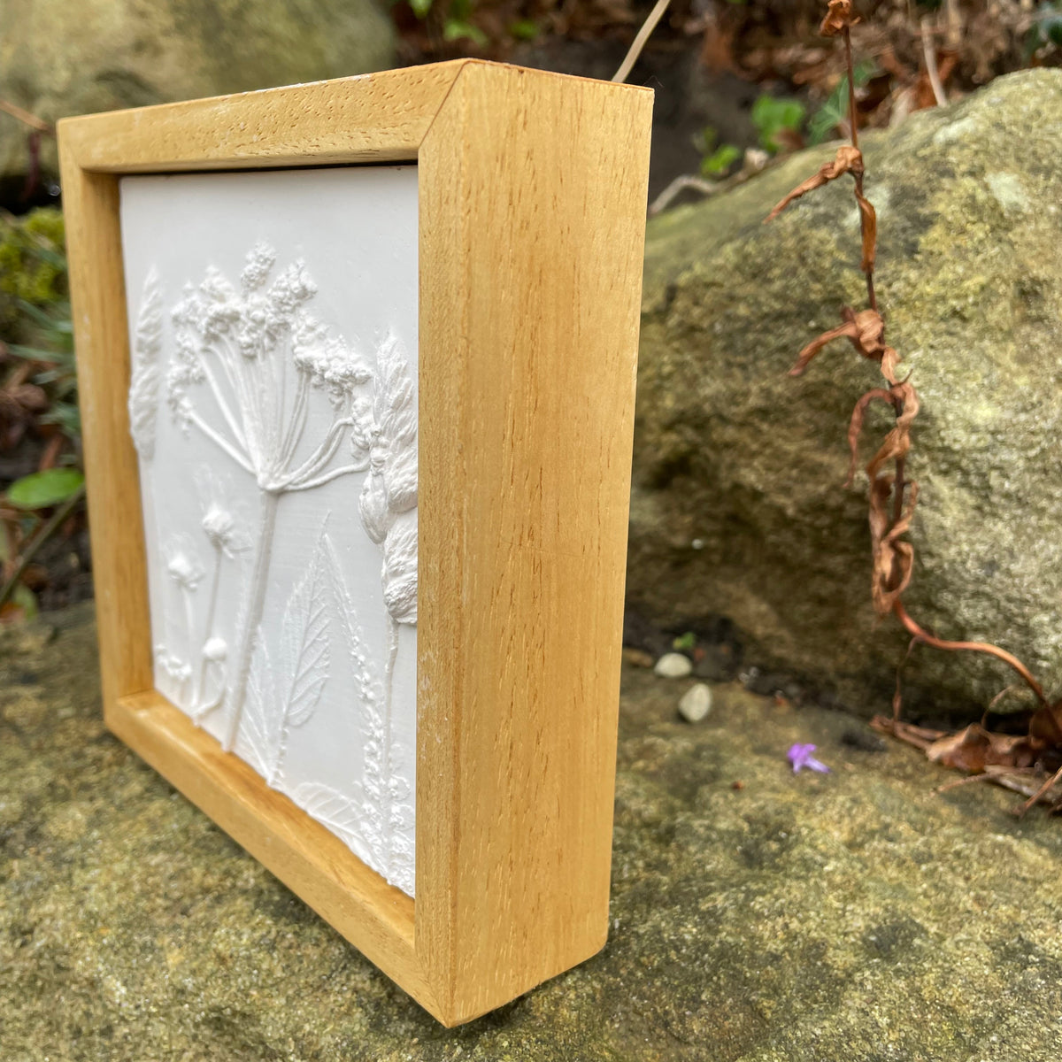 "Cowparsley Fields" Framed